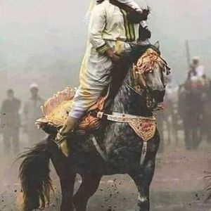 Meet your Posher, Noor